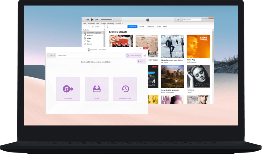 CopyTrans TuneSwift auf dem PC