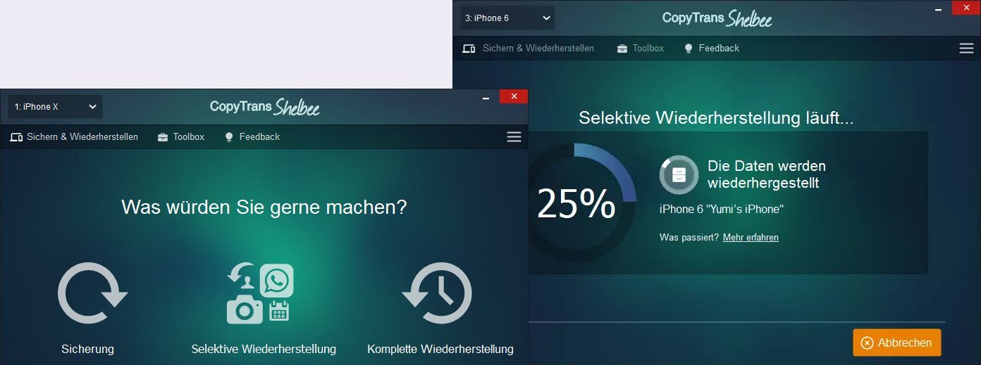 Selektive Wiederherstellung