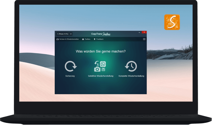 CopyTrans Shelbee auf PC