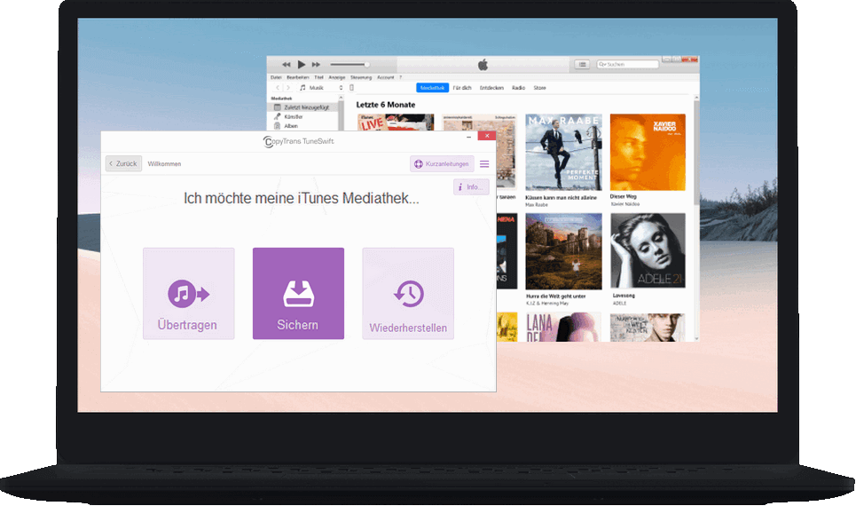 CopyTrans TuneSwift auf PC