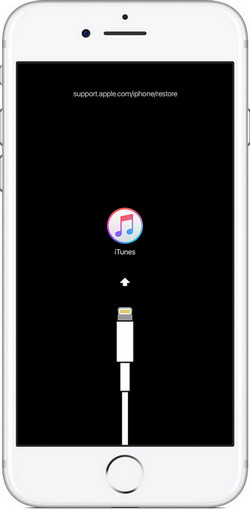 iPhone mit iTunes reparieren lassen