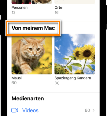 Alben löschen iPhone vom PC aus