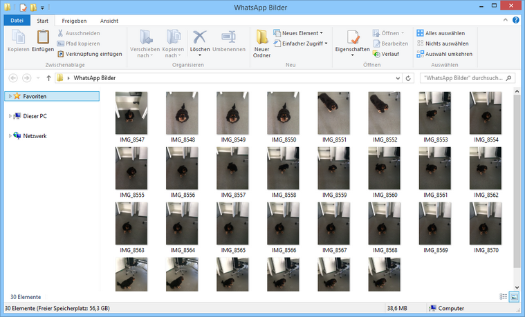Wie übertrage ich meine WhatsApp Bilder auf den PC?