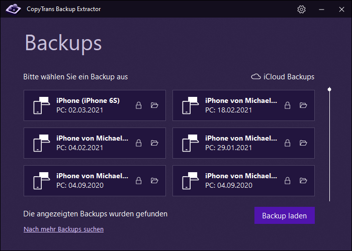 Backup im Programm am PC auswählen