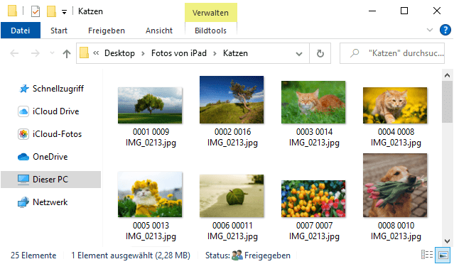 iPad Bilder am PC gesichert