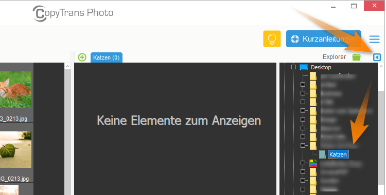 CopyTrans Photo Explorer Ansicht