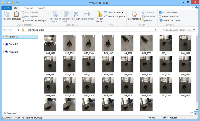 WhatsApp Bilder auf PC speichern