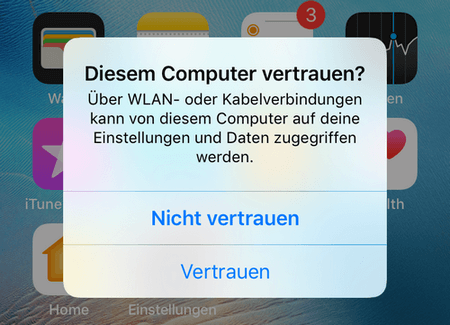 Diesem Computer vertrauen Meldung