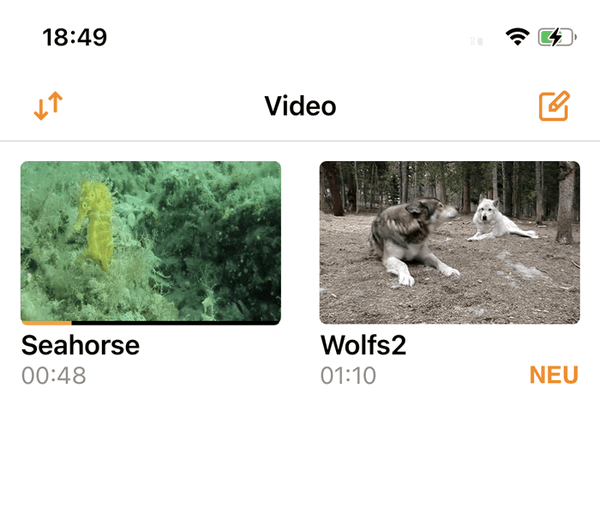 Videos von PC auf iPhone