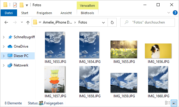 HEIC Format umwandeln mit CopTrans Photo