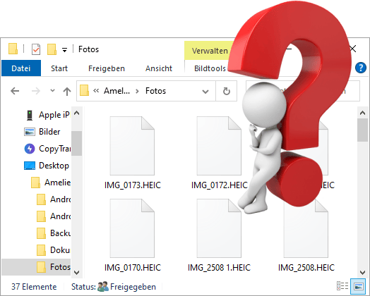iPhone Bilder Ordner auf PC