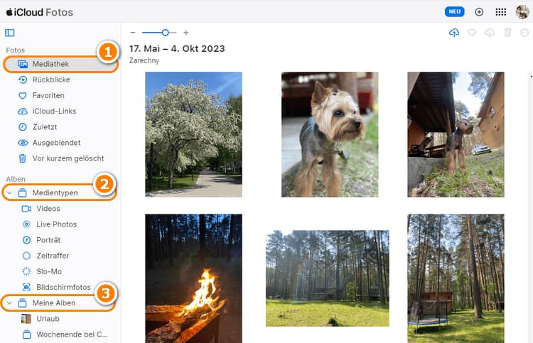 iCloud Fotos online ansehen über icloud.com