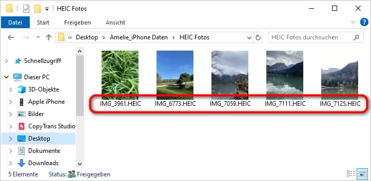 HEIC Fotos auf dem Windows PC angezeigt