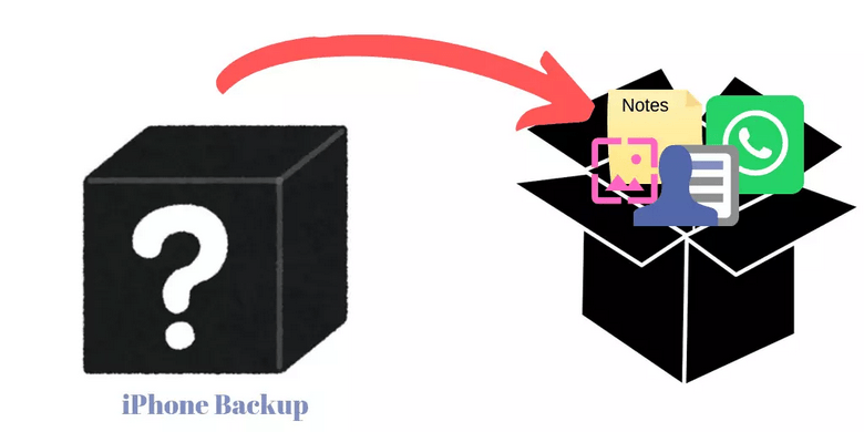 iPhone Backup auslesen