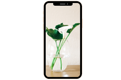 Kontakte auf iPhone importieren