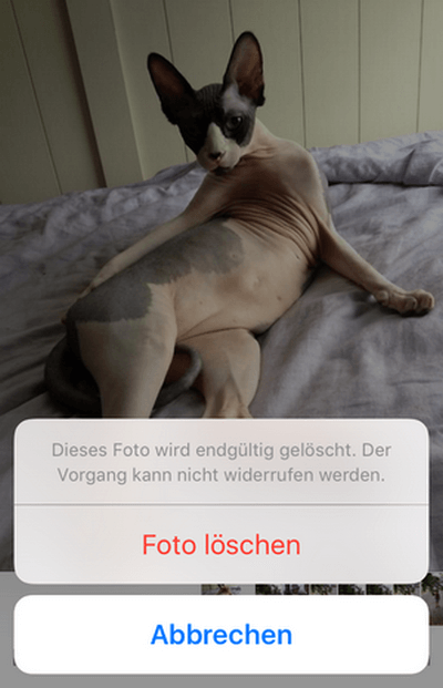 gelöschte iCloud Bilder wiederherstellen