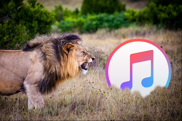 Wie man iTunes Probleme löst