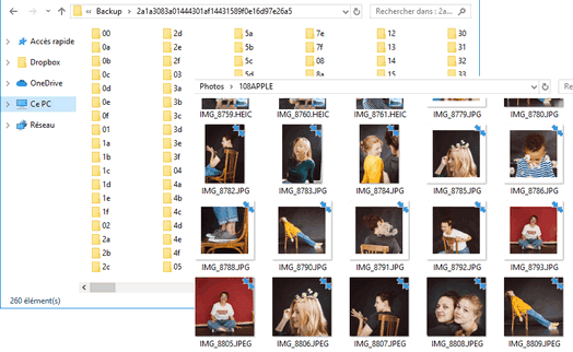 Fotos aus iPhone Backup am PC sichern