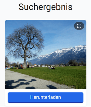 Instagram Bild heruntergeladen