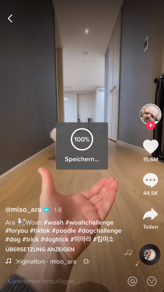 3 Wege Tik Tok Videos Zu Speichern Copytrans Blog