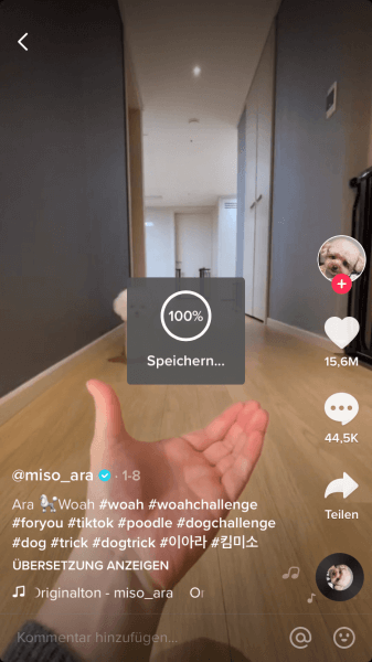 Tik Tok Videos speichern