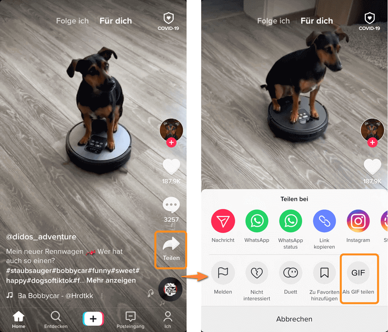 3 Wege Tik Tok Videos zu speichern | CopyTrans Blog