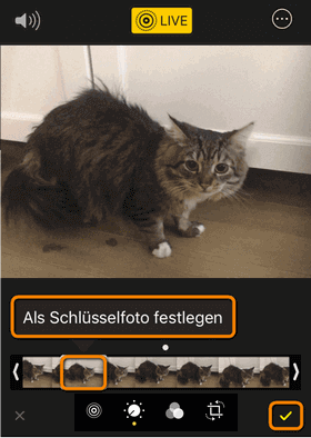 Das gewünschte Schlüsselbild für Live Foto iPhone festlegen