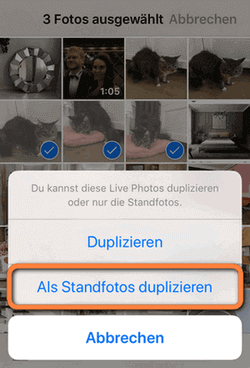 Bewegte Bilder iPhone in Standbild umwandeln