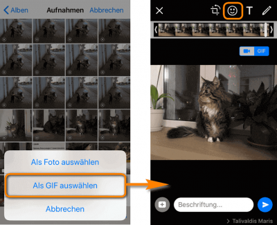 Live Fotos iPhone: eine komplette Anleitung | CopyTrans Blog