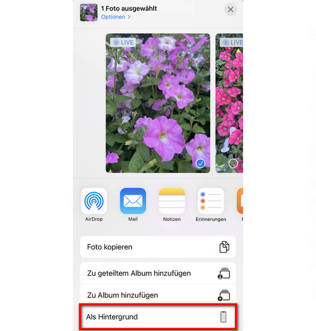 iPhone Live Foto als Hintergrund machen