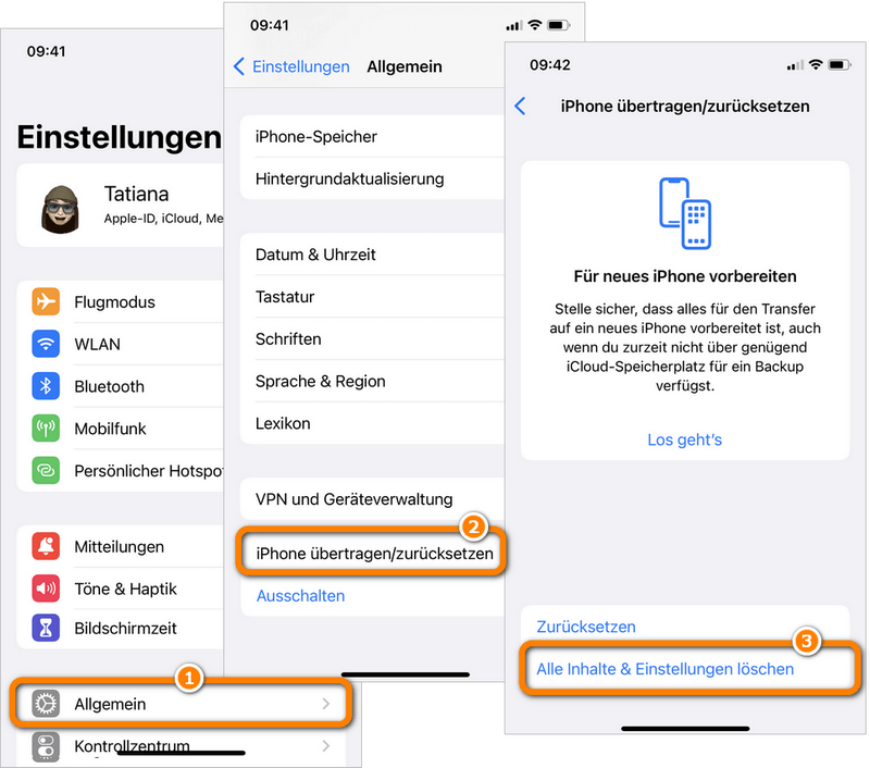 iPad zurücksetzen unter iPad Einstellungen