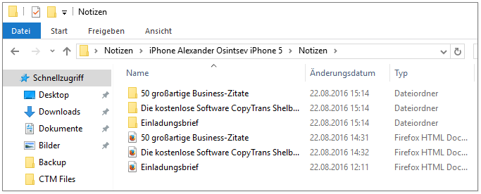 Die exportierten Exchange Notizen auf dem PC