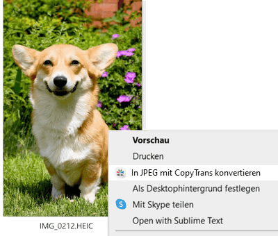 Mit CopyTrans HEIC in JPG konvertieren und Das Gerät ist nicht erreichbar-Fehler vermeiden