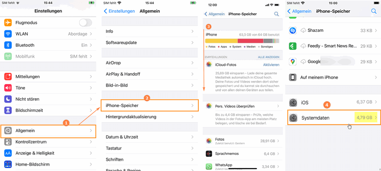 iPhone Systemdaten