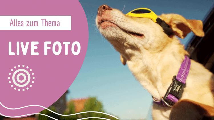 Live Foto iPhone alles zum Thema