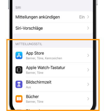 iPhone 14 Pro Akku schnell leer