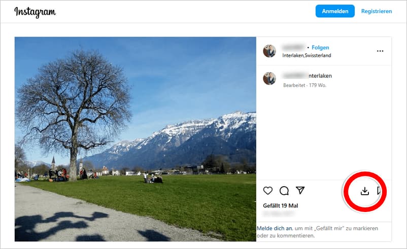 Instagram Bilder Download